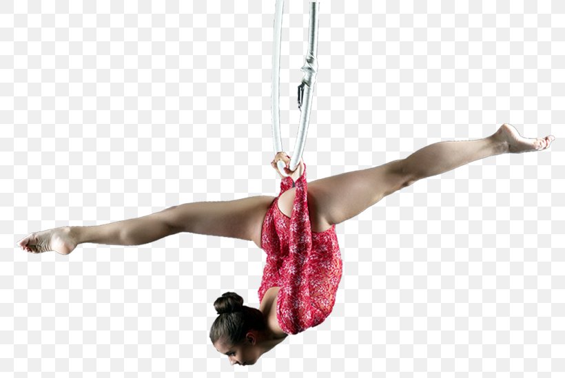 Circus Acrobatics Trapeze Performing Arts Gymnastics, PNG, 809x549px, Circus, Acrobatics, Adult, Arm, Arts Download Free