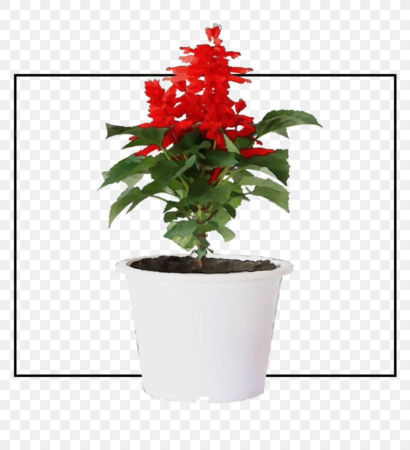 Flower Flowerpot Houseplant Plants Biology, PNG, 780x900px, Watercolor, Biology, Flower, Flowerpot, Houseplant Download Free