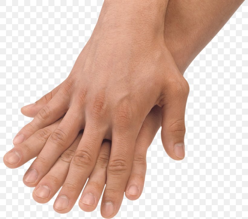 Hand Finger Arm Thumb, PNG, 800x726px, Hand, Arm, Digit, Finger, Human Body Download Free