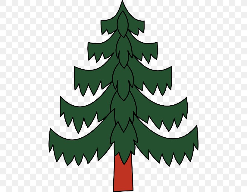 Colorado Spruce Oregon Pine Leaf Tree Evergreen, PNG, 498x640px, Colorado Spruce, Evergreen, Fir, Leaf, Oregon Pine Download Free