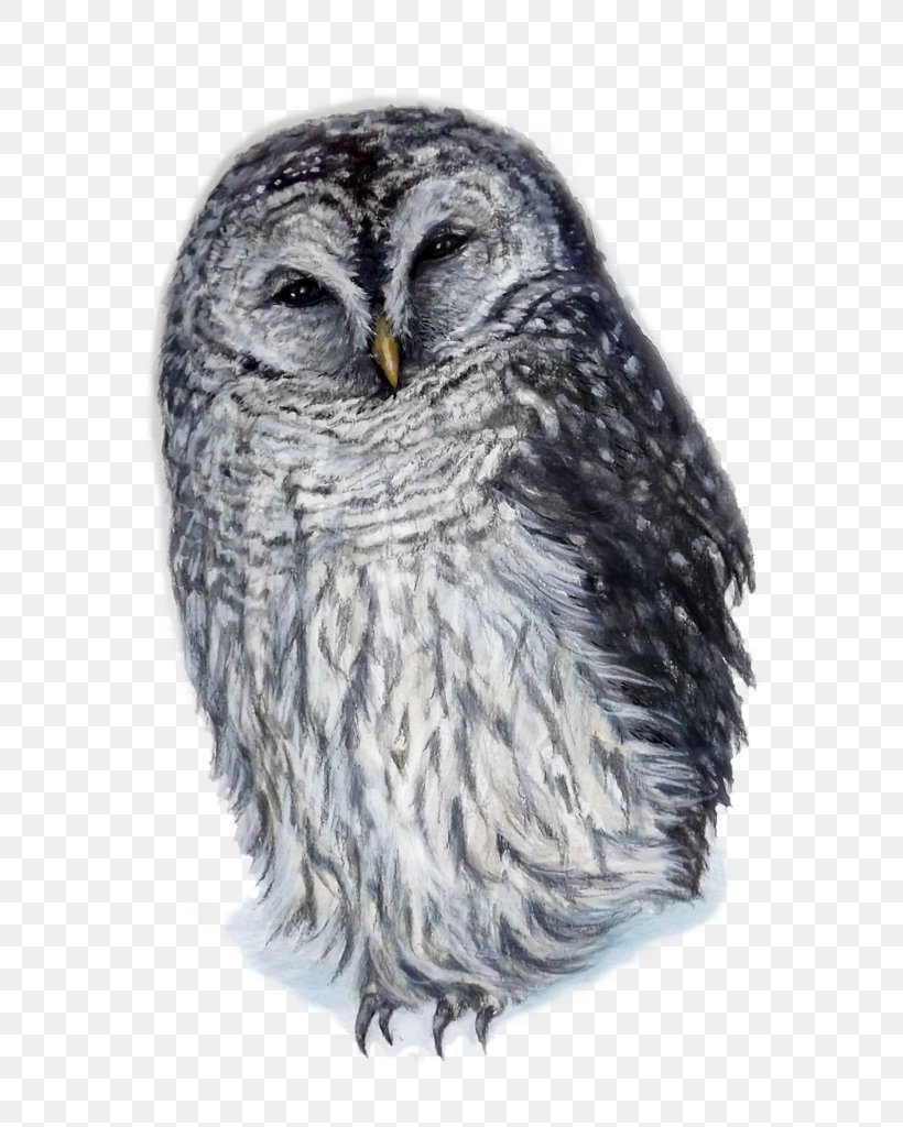 Great Grey Owl Squirrel Barred Owl Great Horned Owl, PNG, 768x1024px, Great Grey Owl, Barred Owl, Beak, Bird, Bird Of Prey Download Free