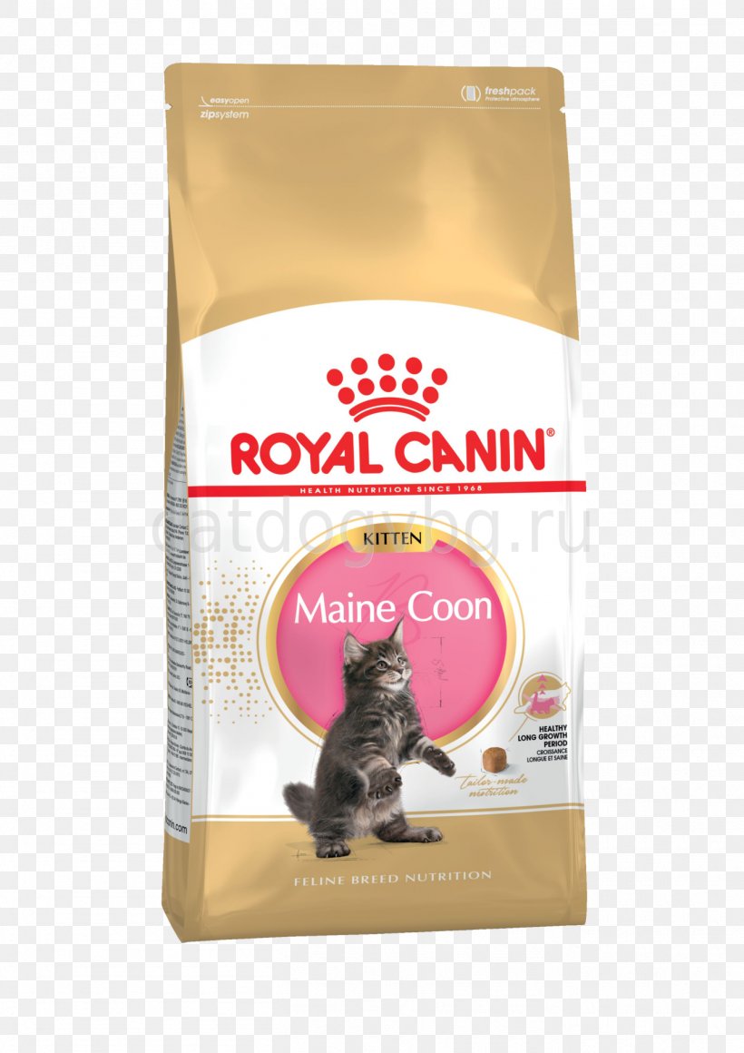 Maine Coon Persian Cat Cat Food British Shorthair Siamese Cat Png