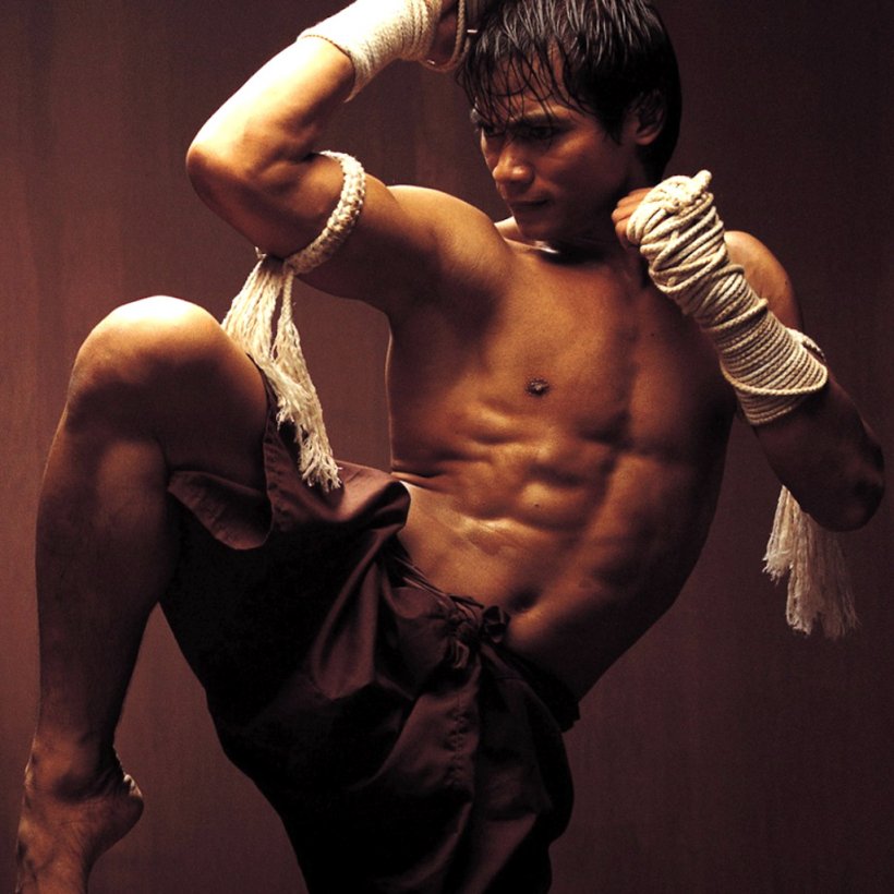 Ong-Bak: Muay Thai Warrior Tony Jaa Martial Arts Boxing, PNG, 1024x1024px, Watercolor, Cartoon, Flower, Frame, Heart Download Free