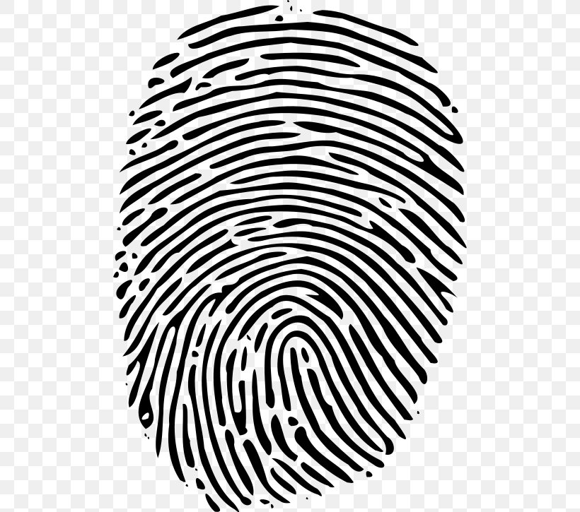 Fingerprint Book Meirokodo Printing Service, PNG, 500x725px, Fingerprint, Area, Black, Black And White, Book Download Free