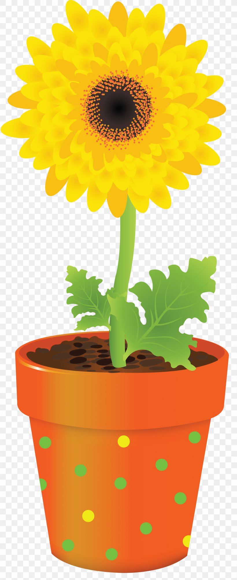 Flowerpot Vase Clip Art, PNG, 2471x6049px, Flowerpot, Color, Cut Flowers, Daisy Family, Drawing Download Free
