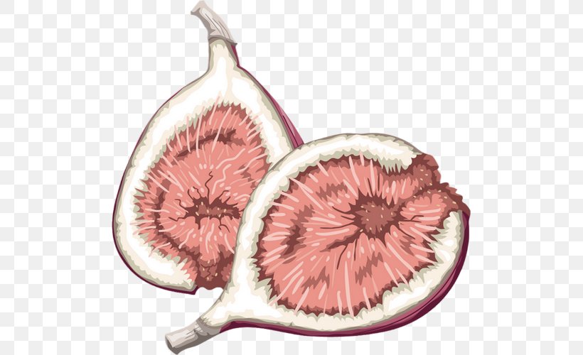 Fruit Food Common Fig Clip Art, PNG, 505x500px, Fruit, Barbary Fig, Berry, Common Fig, Drawing Download Free