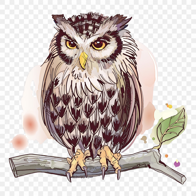 Owl Bird Bird Of Prey Beak Watercolor Paint, PNG, 2000x2000px, Owl, Beak, Bird, Bird Of Prey, Cartoon Download Free