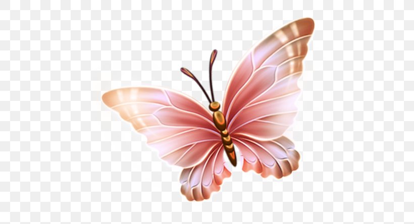 Paper Butterfly Clip Art, PNG, 500x444px, Paper, Butterflies And Moths, Butterfly, Collage, Flower Download Free