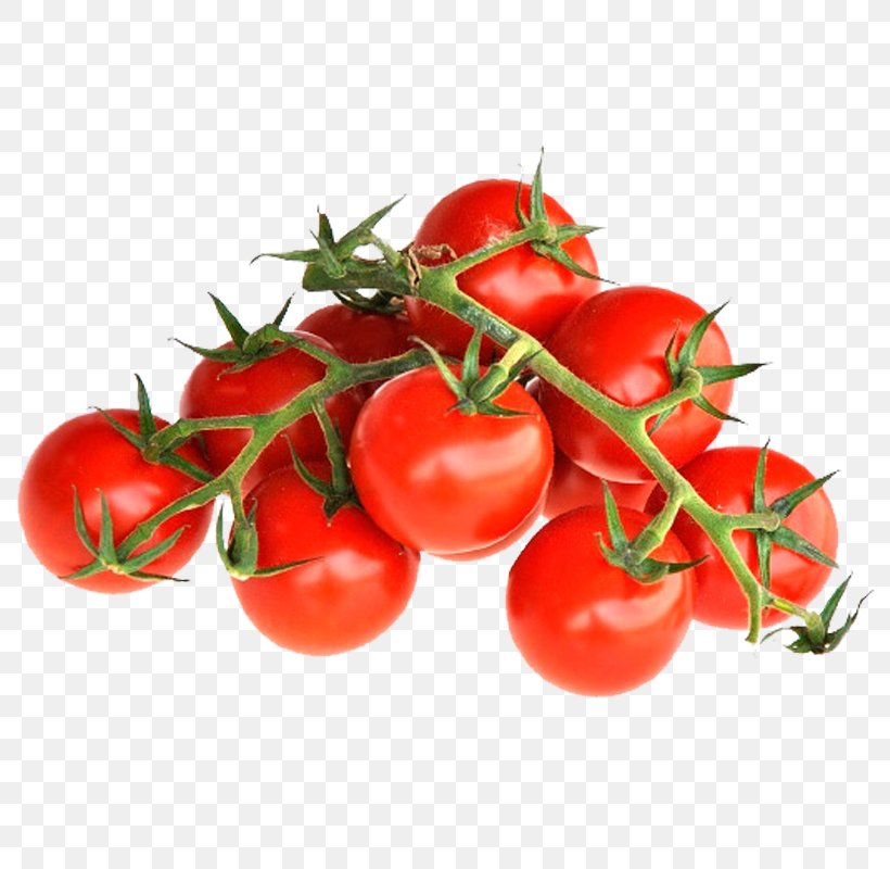 Plum Tomato Cherry Tomato Bush Tomato Cauliflower, PNG, 800x800px, Plum Tomato, Bok Choy, Brassica Oleracea, Bush Tomato, Cauliflower Download Free
