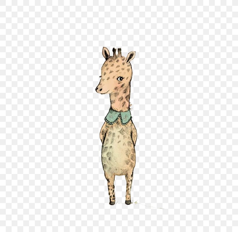 Reticulated Giraffe Northern Giraffe, PNG, 533x800px, Reticulated Giraffe, Animal, Animal Print, Art, Giraffe Download Free