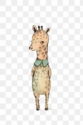 Northern Giraffe Animal Reticulated Giraffe Png 1403x2500px