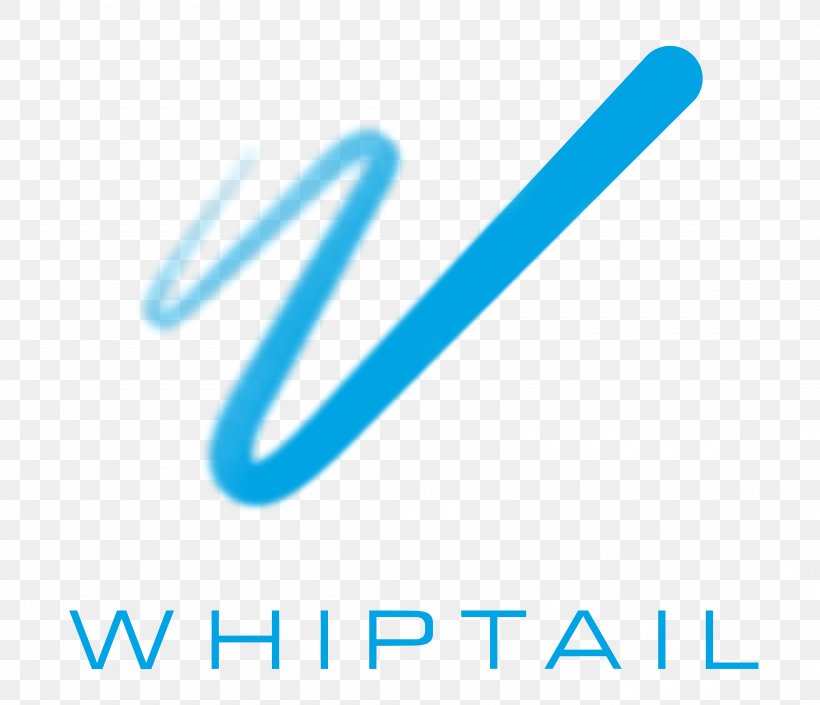 Whiptail SanDisk Flash Memory Technology Computer Data Storage, PNG, 4200x3612px, Whiptail, Afacere, Azure, Blue, Brand Download Free