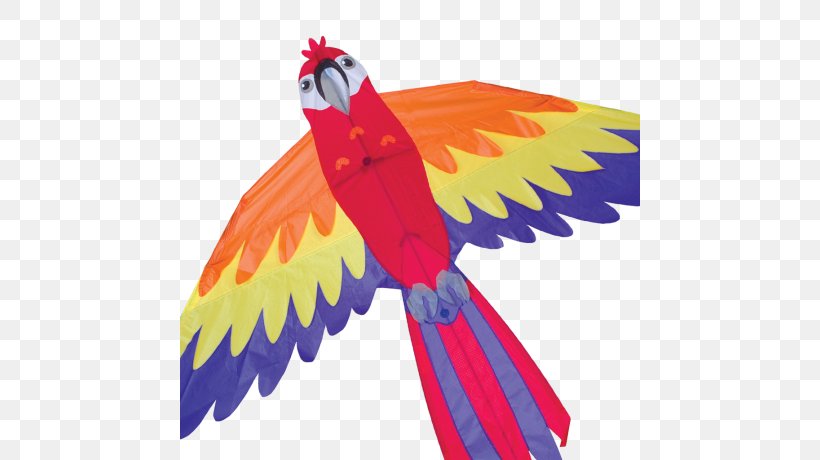 Macaw Parrot Bird Kite Beak, PNG, 736x460px, Macaw, Beak, Bird, Feather, Galliformes Download Free