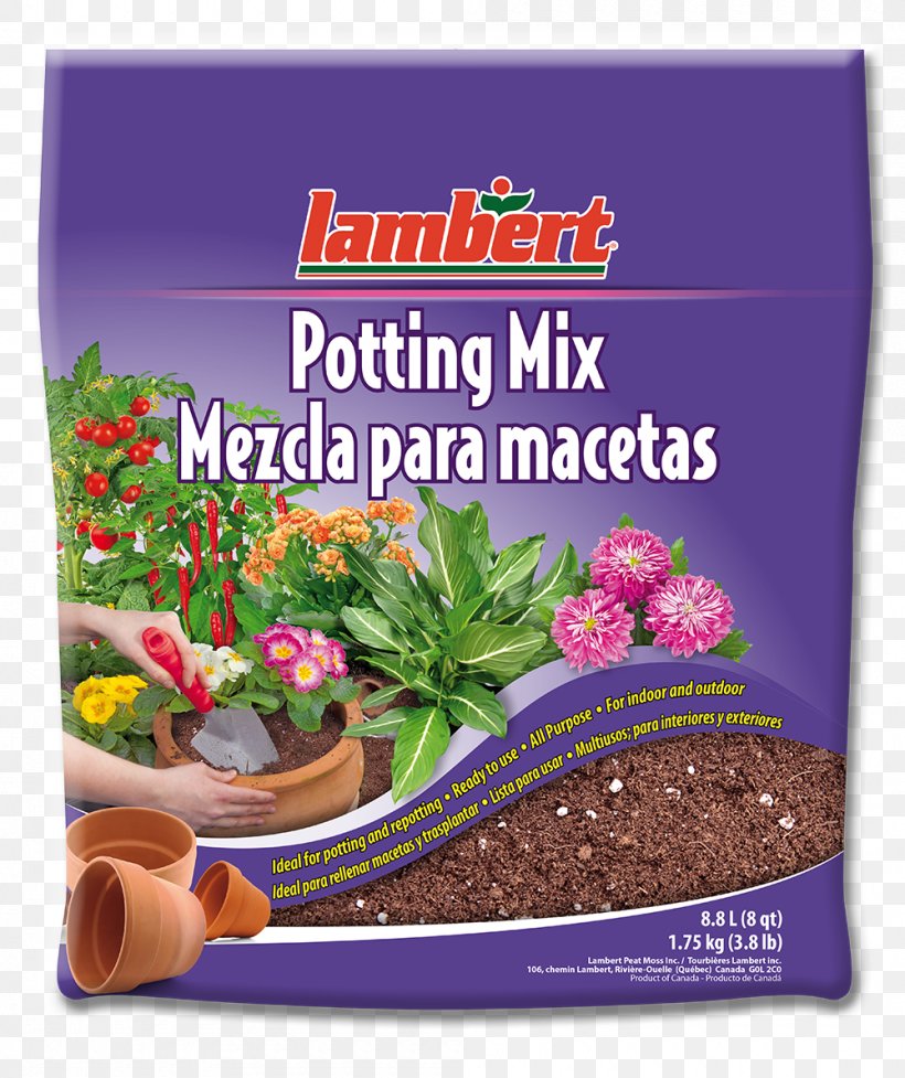 Potting Soil Flowerpot Peat Fertilisers, PNG, 1000x1192px, Potting Soil, African Violets, Cactaceae, Cannabis Cultivation, Coir Download Free