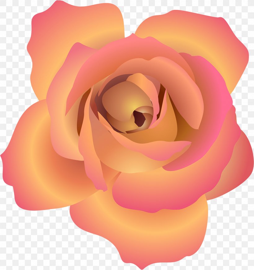 Beach Rose Flower Petal, PNG, 1127x1200px, Beach Rose, Cartoon, Close Up, Flower, Flowering Plant Download Free