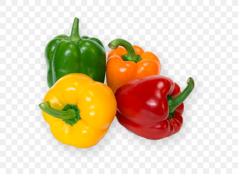 Bell Pepper Vegetable Chili Pepper Food Fruit, PNG, 600x600px, Bell Pepper, Bell Peppers And Chili Peppers, Bhut Jolokia, Cabbage, Capsicum Download Free
