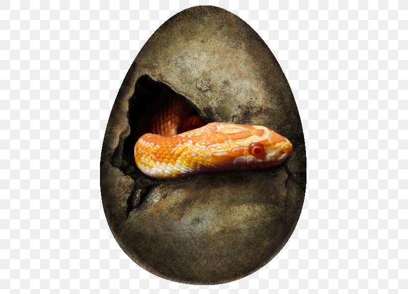 Boa Constrictor Snake Easter Egg, PNG, 458x590px, Boa Constrictor, Boas, Deviantart, Easter, Easter Egg Download Free
