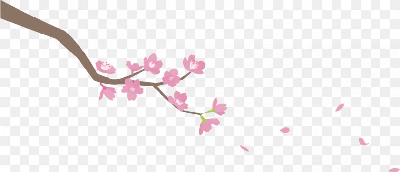 Cherry Blossom, PNG, 1204x520px, Pink, Blossom, Branch, Cherry Blossom, Flower Download Free