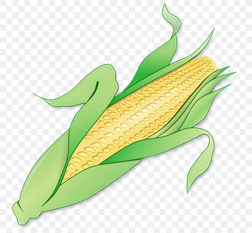 Corn On The Cob Sweet Corn Leaf Corn Plant, PNG, 768x758px, Corn On The Cob, Anthurium, Corn, Grass Family, Leaf Download Free
