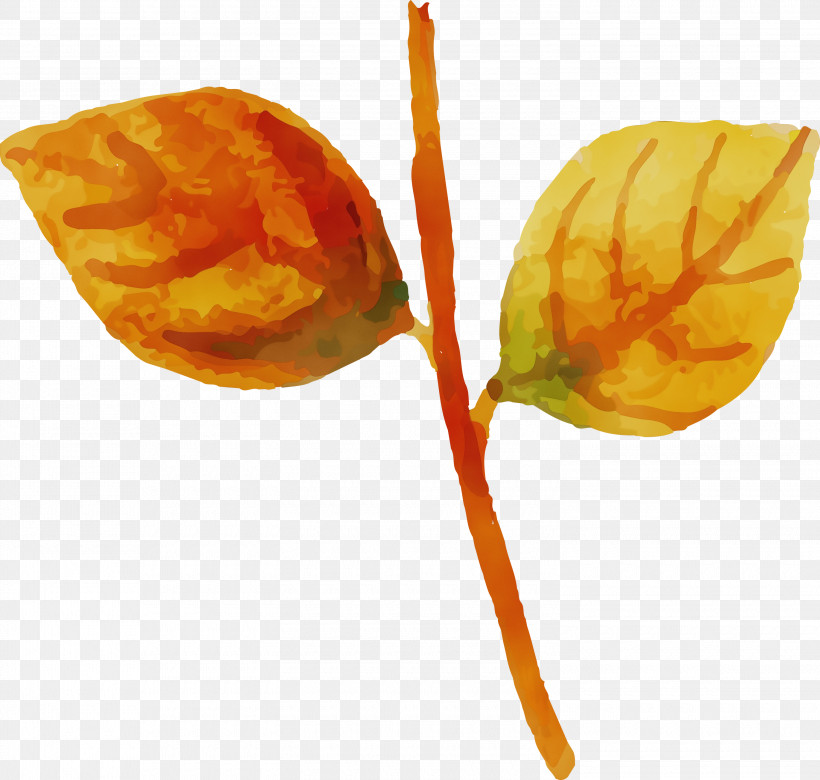 Fruit, PNG, 3000x2855px, Watercolor Autumn, Fruit, Paint, Watercolor, Watercolor Autumn Leaf Download Free