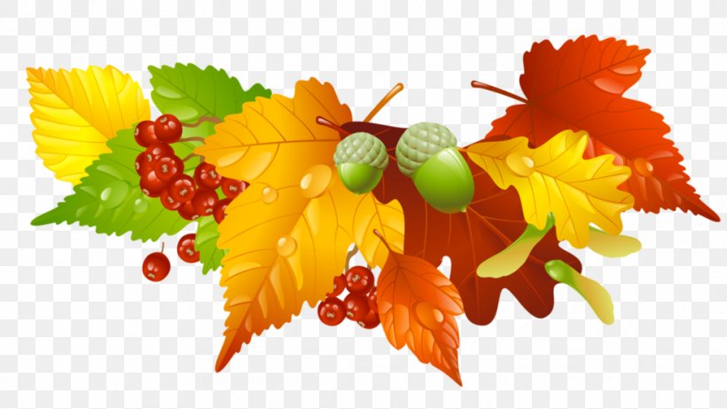 Clip Art Wreath Autumn Image Illustration, PNG, 988x556px, Wreath, Art, Autumn, Autumn Leaf Color, Cuisine Download Free