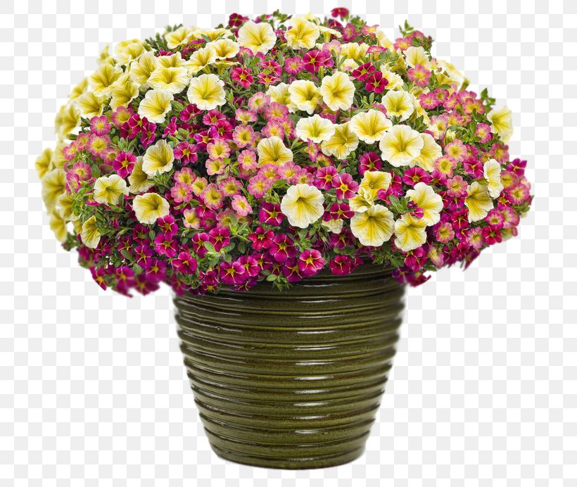 Container Garden Flowerpot Combination Calibrachoa, PNG, 736x692px, Container Garden, Annual Plant, Artificial Flower, Calibrachoa, Chrysanths Download Free