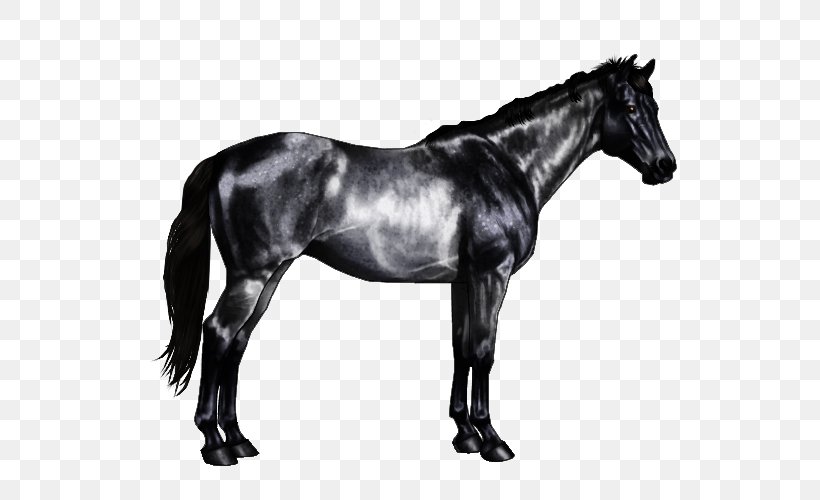 Horse Markings Equine Coat Color Roan Chestnut, PNG, 600x500px, Horse, Black And White, Bridle, Brindle, Buckskin Download Free