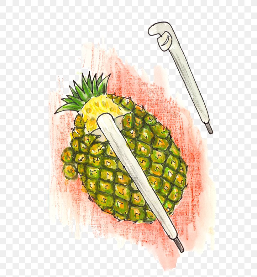 Peeler Pineapple Cutter Knife, PNG, 800x885px, Peel, Carving, Cuisine, Diet Food, Exfoliation Download Free