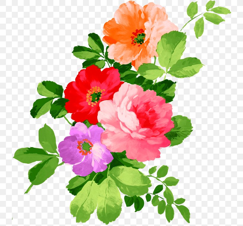 Watercolor Painting Paper Flower Drawing, PNG, 741x765px, Watercolor Painting, Annual Plant, Art, Cut Flowers, Decoupage Download Free