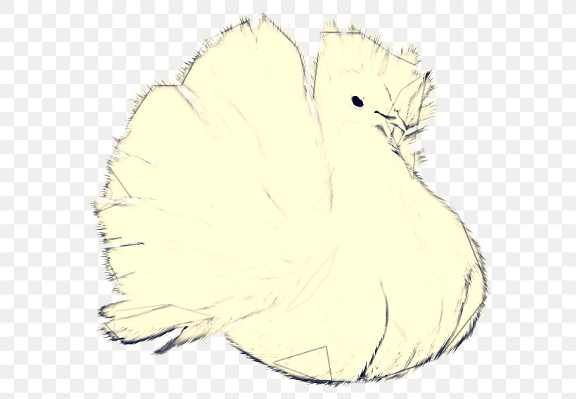 Bird Line Drawing, PNG, 600x569px, Chicken, Beak, Bird, Cartoon, Drawing Download Free