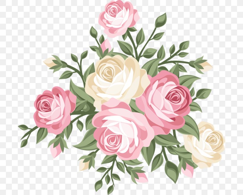 Garden Roses Centifolia Roses Dragonwyck Katherine Cut Flowers, PNG, 700x658px, Garden Roses, Artificial Flower, Author, Centifolia Roses, Cos Cob Download Free