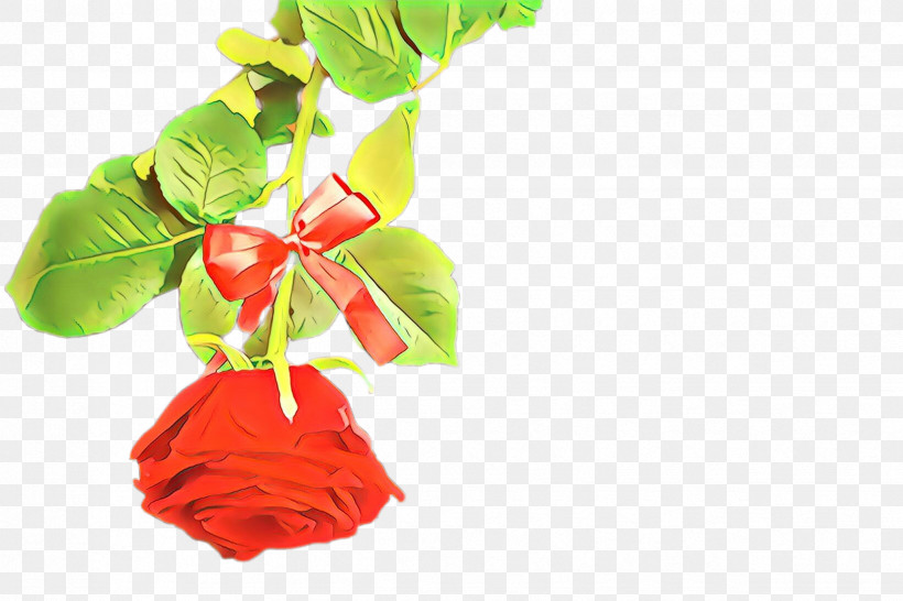 Red Flower Leaf Plant Cut Flowers, PNG, 2448x1632px, Red, Anthurium, Cut Flowers, Flower, Impatiens Download Free