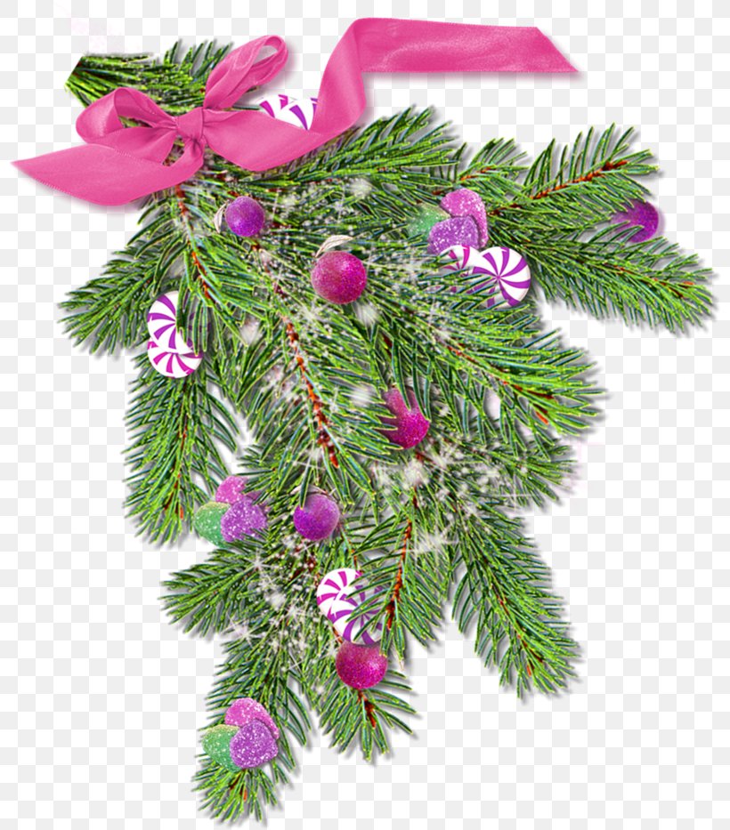 Spruce Christmas Ornament Fir Pine, PNG, 800x933px, Spruce, Branch, Christmas, Christmas Decoration, Christmas Ornament Download Free