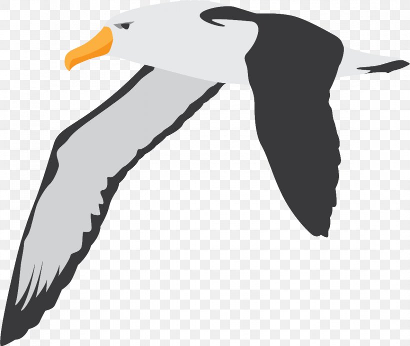 Swan Goose Flight Bird Penguin, PNG, 1184x1001px, Swan Goose, Anatidae, Anser, Beak, Bird Download Free
