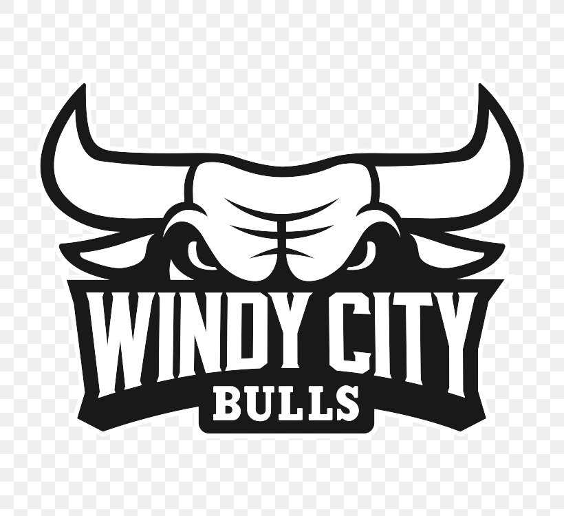 Windy City Bulls NBA Development League Chicago Bulls Canton Charge, PNG, 750x750px, Windy City Bulls, Basketball, Black, Black And White, Brand Download Free