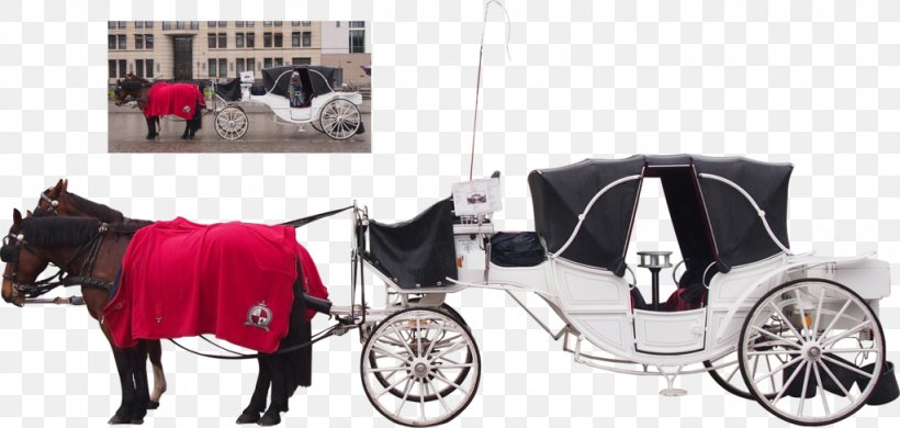 Carriage Horse And Buggy Cart Horse-drawn Vehicle, PNG, 1024x488px, Carriage, Cart, Chariot, Coachman, Deviantart Download Free