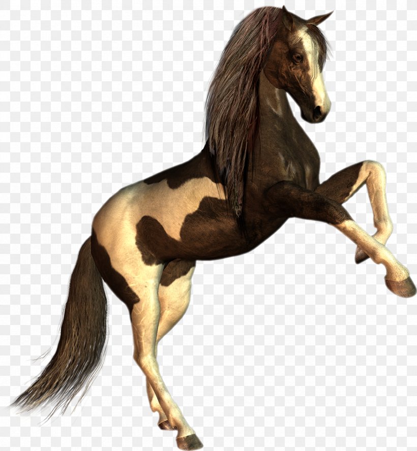 Ferghana Horse Howrse Colt Stallion, PNG, 1181x1280px, 2d Computer Graphics, Ferghana Horse, Animal, Animal Figure, Bit Download Free