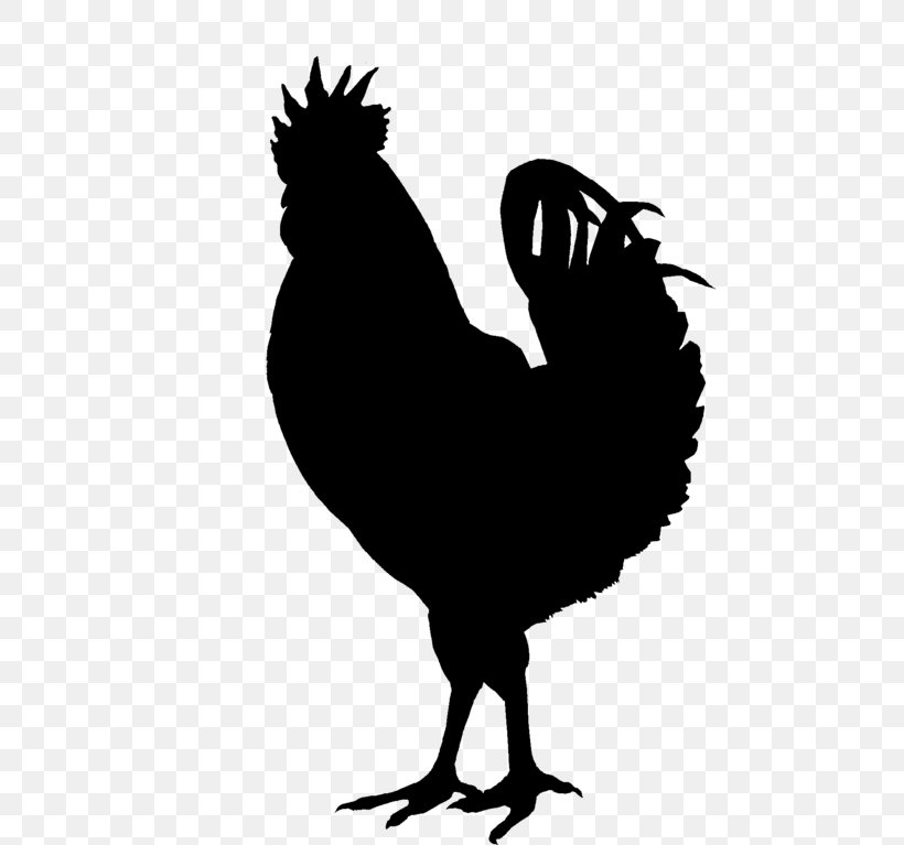 Silkie Rooster Silhouette Clip Art, PNG, 585x767px, Silkie, Bantam, Beak, Bird, Black And White Download Free