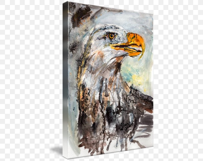Bald Eagle Watercolor Painting Hawk, PNG, 431x650px, Bald Eagle, Accipitriformes, Art, Beak, Bird Download Free