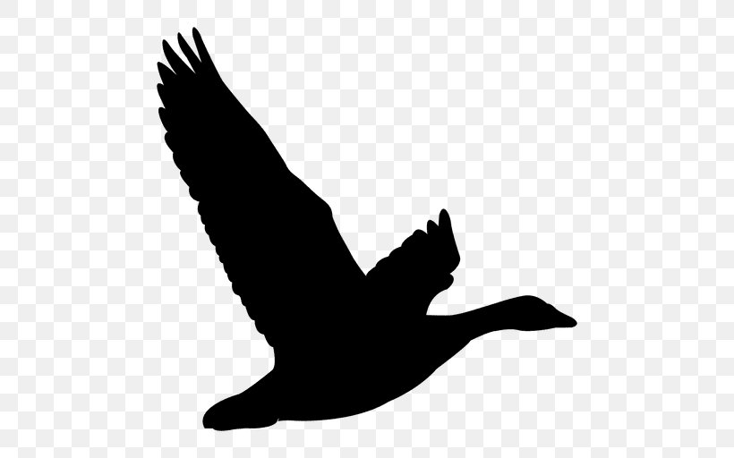 Beak Swans Goose Ducks Water Bird, PNG, 512x512px, Beak, Bird, Black M, Blackandwhite, Duck Download Free