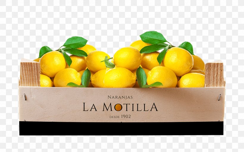Clementine Lemon Mandarin Orange Grapefruit Key Lime, PNG, 1000x624px, Clementine, Calamondin, Citric Acid, Citron, Citrus Download Free