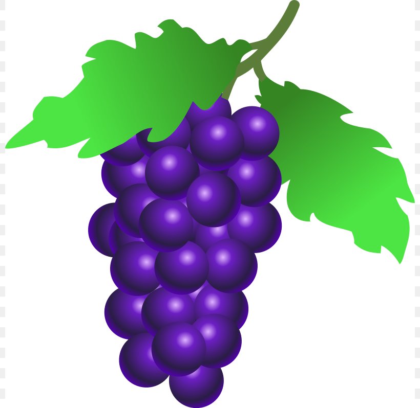 Common Grape Vine Grappa Wine Juice Clip Art, PNG, 800x798px, Common Grape Vine, Berry, Drawing, Flowering Plant, Food Download Free