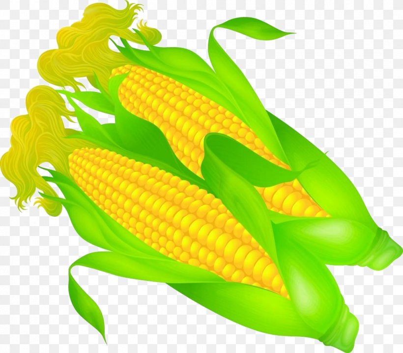 Corn On The Cob Wotou Maize, PNG, 1017x891px, Corn On The Cob, Commodity, Food, Fruit, Maize Download Free