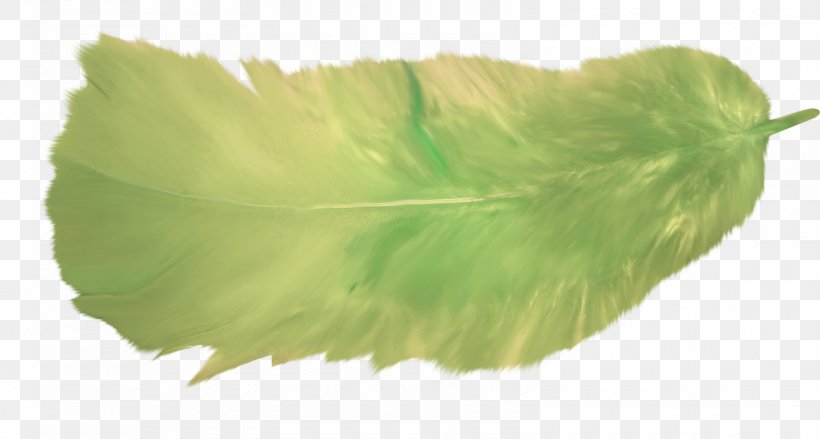 Green Feather Flight Image, PNG, 1600x857px, Green, Badminton, Badminton Player, Color, Feather Download Free