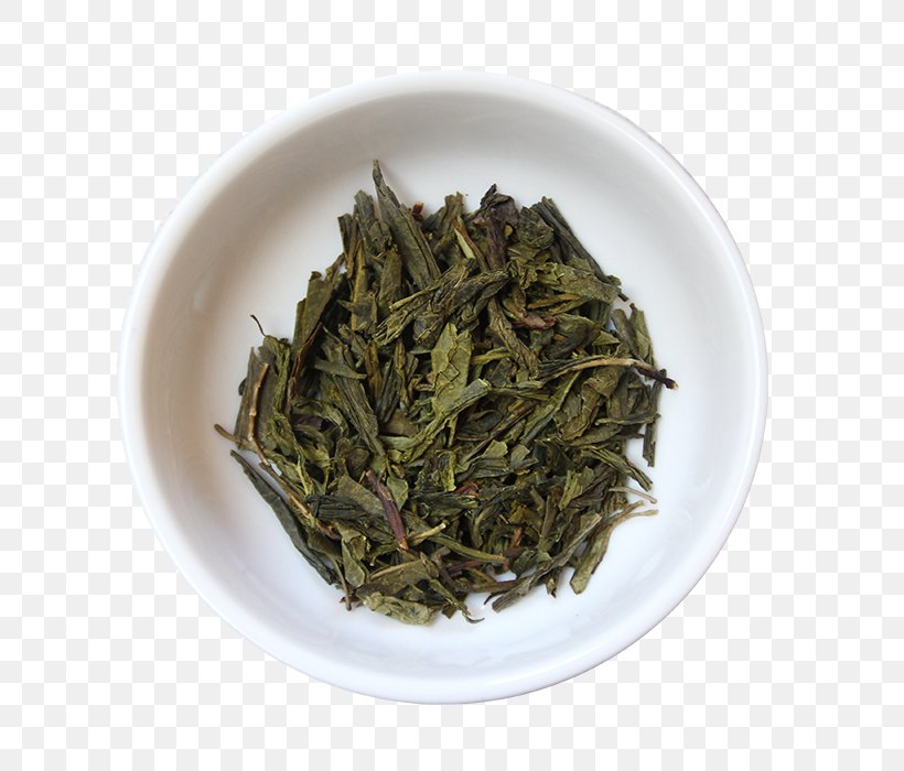 Hōjicha Tea Plant Nilgiri Tea White Tea, PNG, 700x700px, Tea, Assam Tea, Bai Mudan, Baihao Yinzhen, Bancha Download Free