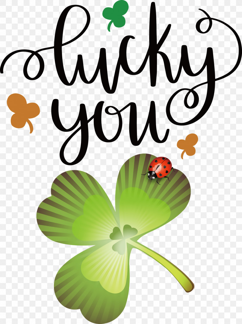 Lucky You Lucky St Patricks Day, PNG, 2237x2999px, Lucky You, Cut Flowers, Floral Design, Flower, Flower Bouquet Download Free