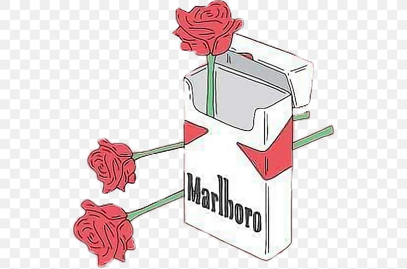Marlboro Cigarettes, Black, PNG, 532x542px, Marlboro, Black Devil, Cigarette, Flower, Flowering Plant Download Free