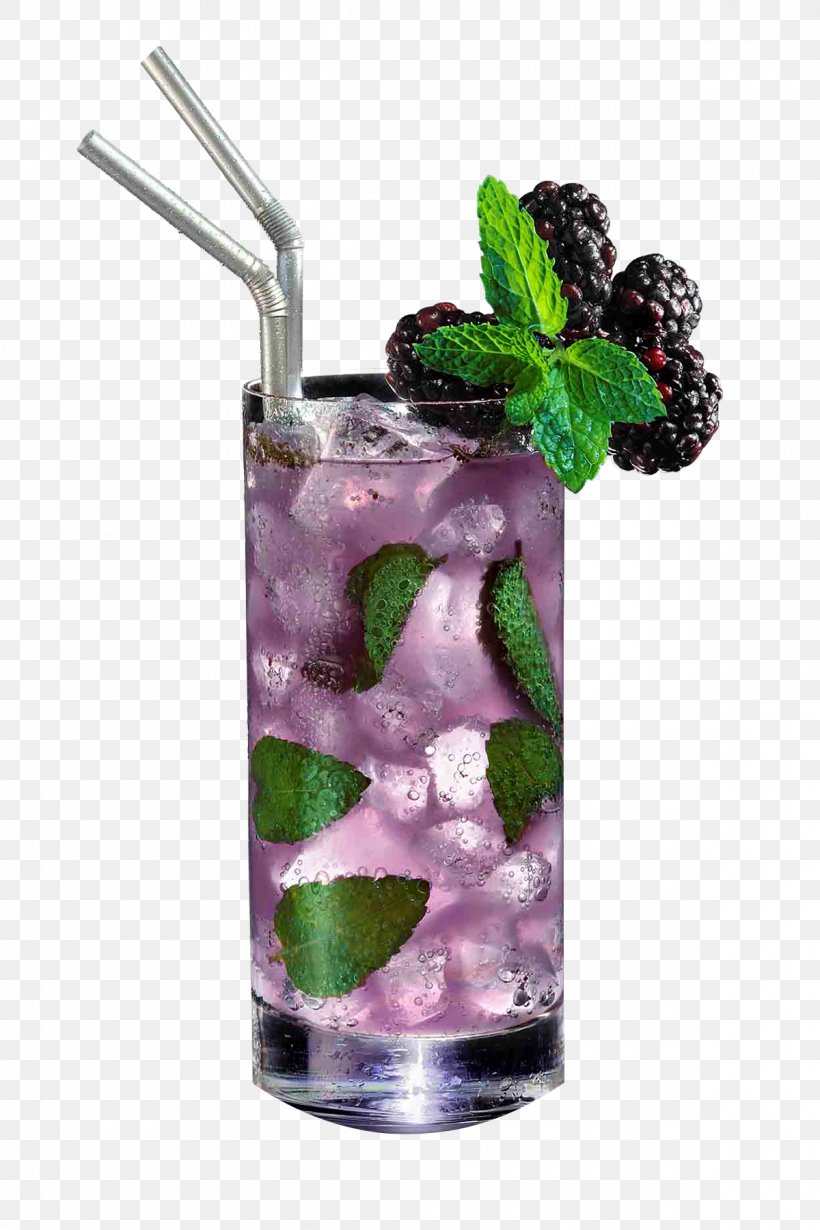 Mojito Non-alcoholic Drink Cocktail Blueberry Tea Rickey, PNG, 1200x1800px, Mojito, Alcoholic Beverages, Blueberry Tea, Cocktail, Cocktail Garnish Download Free