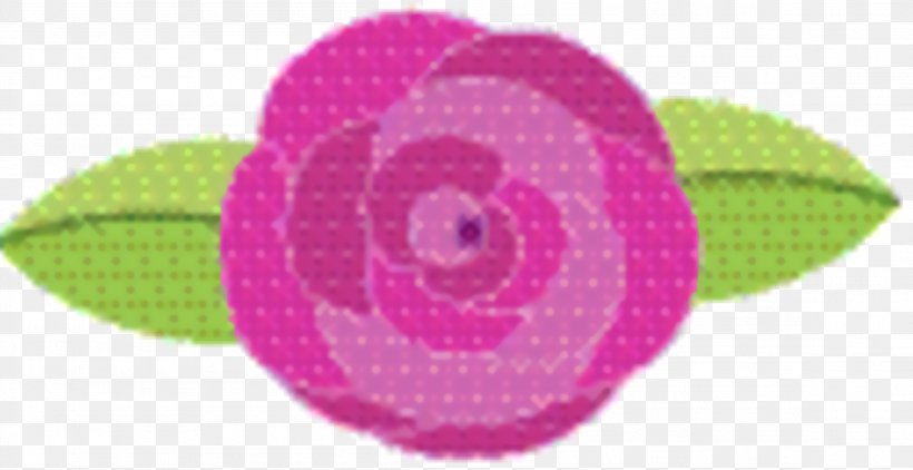 Pink Circle, PNG, 2308x1188px, Pink M, Green, Magenta, Pink, Purple Download Free