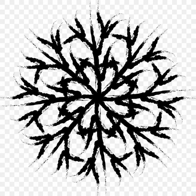 Snowflake Cold Winter Weather, PNG, 1280x1279px, Snow, Black And White, Branch, Cold, Flora Download Free